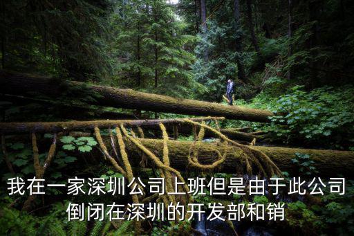 我在一家深圳公司上班但是由于此公司倒閉在深圳的開發部和銷