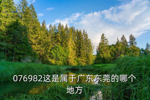 076982這是屬于廣東東莞的哪個地方
