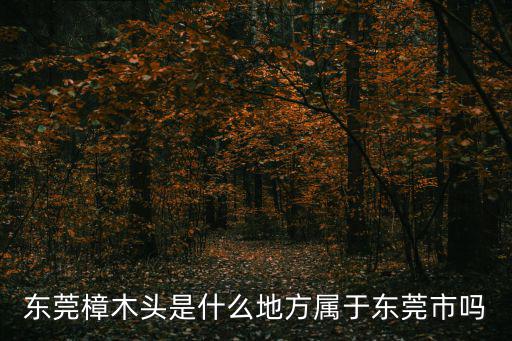 東莞樟木頭是什么地方屬于東莞市嗎