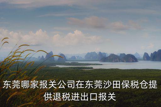 東莞哪家報關公司在東莞沙田保稅倉提供退稅進出口報關
