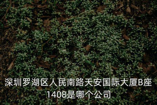 深圳羅湖區人民南路天安國際大廈B座1408是哪個公司