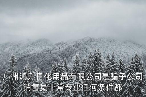 廣州鴻升日化用品有限公司是騙子公司銷售員非常專業(yè)任何條件都