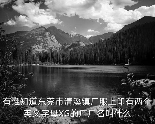 有誰知道東莞市清溪鎮廠服上印有兩個英文字母XG的廠廠名叫什么