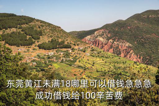 東莞黃江未滿18哪里可以借錢急急急成功借錢給100辛苦費