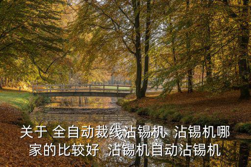 關于 全自動裁線沾錫機  沾錫機哪家的比較好  沾錫機自動沾錫機