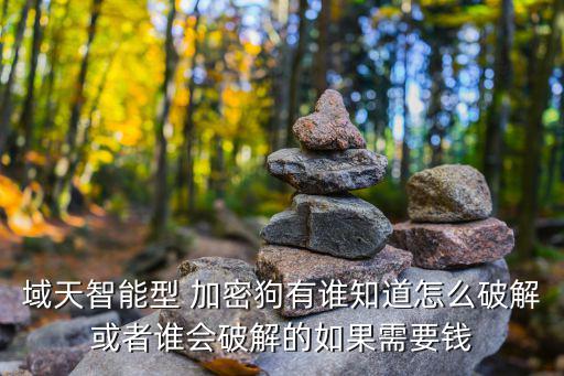 域天智能型 加密狗有誰知道怎么破解或者誰會破解的如果需要錢