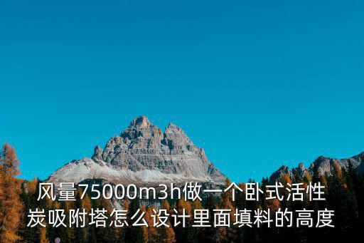 風量75000m3h做一個臥式活性炭吸附塔怎么設計里面填料的高度