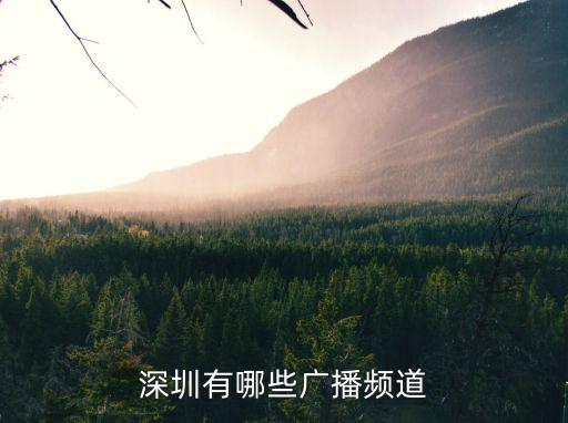 深圳有哪些廣播頻道