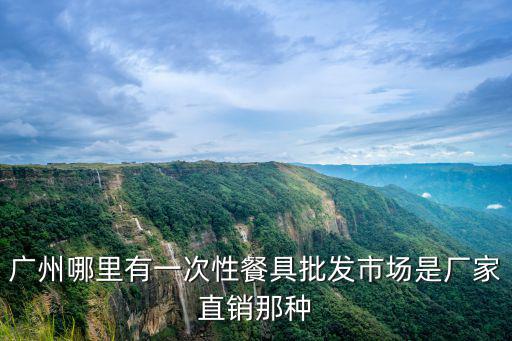 廣州哪里有一次性餐具批發市場是廠家直銷那種
