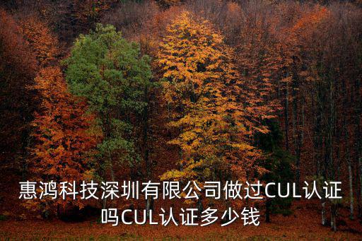 惠鴻科技深圳有限公司做過CUL認(rèn)證嗎CUL認(rèn)證多少錢