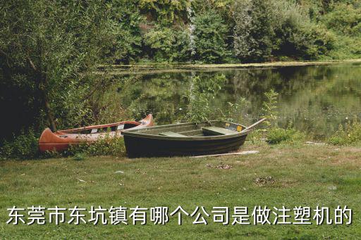 東莞市東坑鎮有哪個公司是做注塑機的