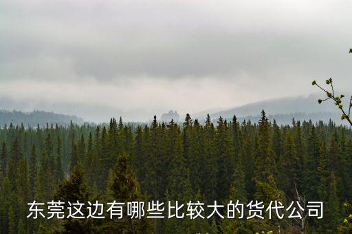 東莞這邊有哪些比較大的貨代公司