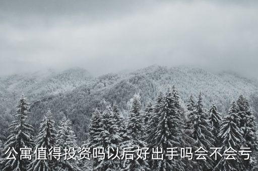 公寓值得投資嗎以后好出手嗎會不會虧