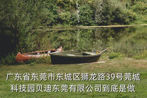 廣東省東莞市東城區(qū)獅龍路39號莞城科技園貝迪東莞有限公司到底是做