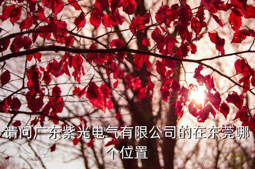 日立化成東莞，請(qǐng)問廣東紫光電氣有限公司的在東莞哪個(gè)位置