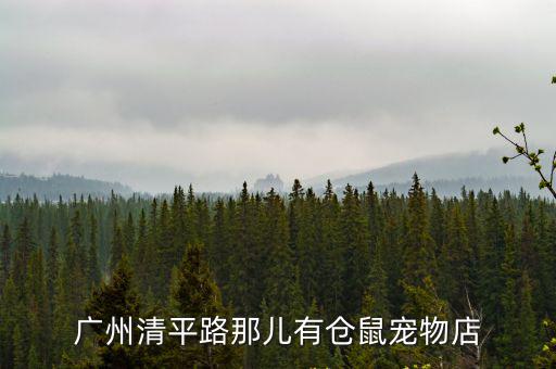 廣州清平路那兒有倉鼠寵物店