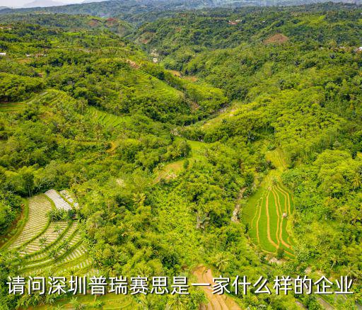深圳思瑞普科技有限公司，思瑞測量技術(shù)深圳有限公司怎么樣地理位置怎么樣偏不偏