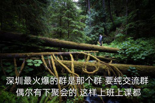 深圳兼職群，深圳最火爆的群是那個群 要純交流群 偶爾有下聚會的 這樣上班上課都