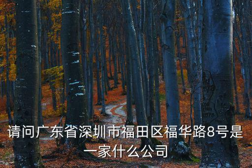 請問廣東省深圳市福田區福華路8號是一家什么公司
