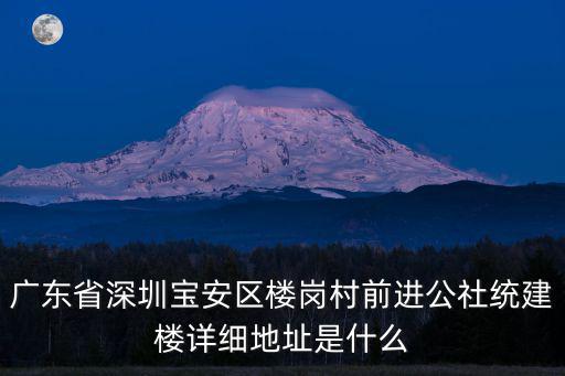 廣東省深圳寶安區(qū)樓崗村前進公社統(tǒng)建樓詳細地址是什么