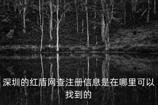 深圳的紅盾網(wǎng)查注冊信息是在哪里可以找到的