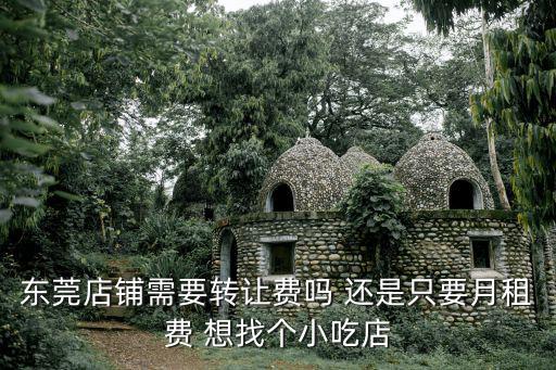 東莞店鋪需要轉讓費嗎 還是只要月租費 想找個小吃店