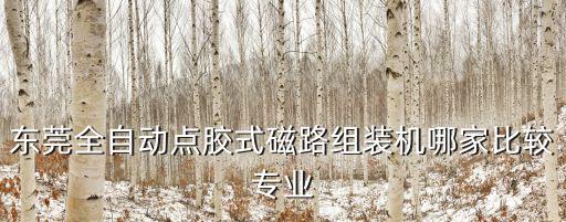 東莞全自動點膠式磁路組裝機哪家比較專業(yè)