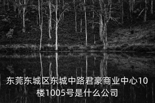 東莞東城區東城中路君豪商業中心10樓1005號是什么公司