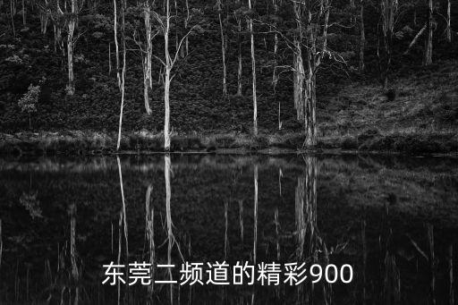 東莞二頻道的精彩900