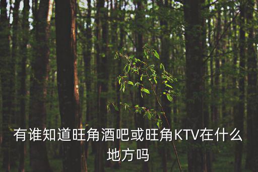 有誰知道旺角酒吧或旺角KTV在什么地方嗎