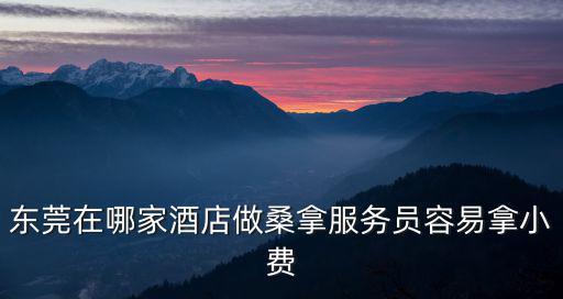 東莞在哪家酒店做桑拿服務(wù)員容易拿小費(fèi)