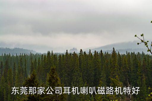 東莞那家公司耳機喇叭磁路機特好