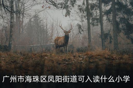 廣州市海珠區鳳陽街道可入讀什么小學