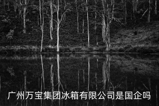廣州萬寶集團冰箱有限公司是國企嗎