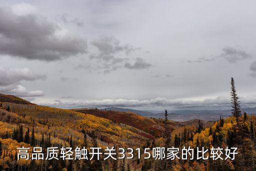 高品質(zhì)輕觸開關(guān)3315哪家的比較好