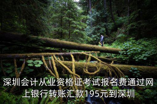 深圳會計從業資格證考試報名費通過網上銀行轉賬匯款195元到深圳
