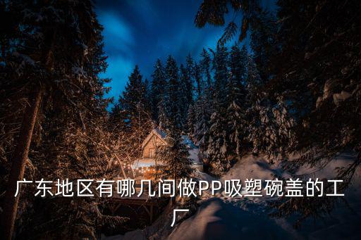 廣東地區(qū)有哪幾間做PP吸塑碗蓋的工廠