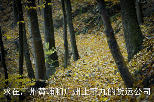 求在廣州黃埔和廣州上下九的貨運公司