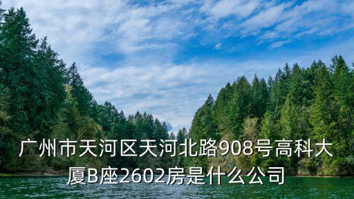 廣州市天河區天河北路908號高科大廈B座2602房是什么公司