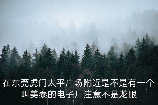 在東莞虎門太平廣場附近是不是有一個叫美泰的電子廠注意不是龍眼