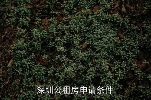 深圳公租房申請條件