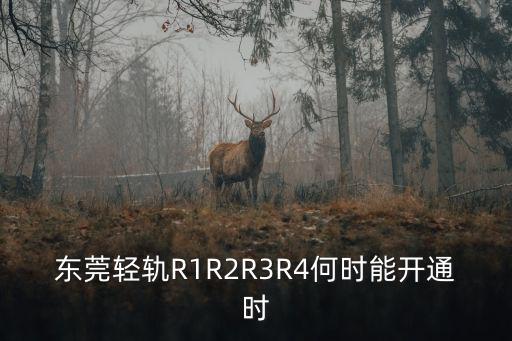 東莞輕軌R1R2R3R4何時能開通時
