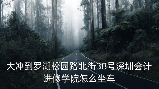 大沖到羅湖松園路北街38號(hào)深圳會(huì)計(jì)進(jìn)修學(xué)院怎么坐車(chē)