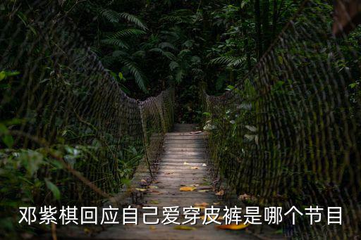 鄧紫棋回應自己愛穿皮褲是哪個節目