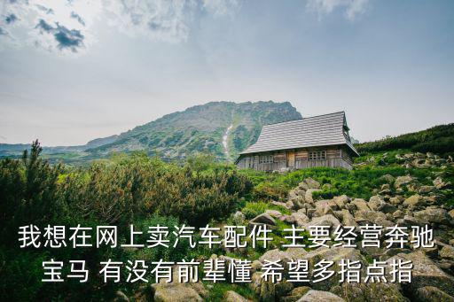 我想在網上賣汽車配件 主要經營奔馳寶馬 有沒有前輩懂 希望多指點指