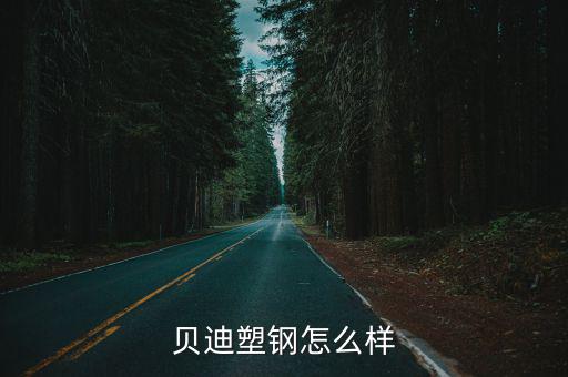 貝迪塑鋼怎么樣