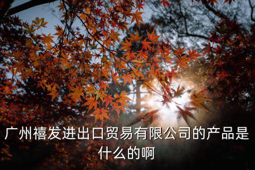 廣州禧發(fā)進(jìn)出口貿(mào)易有限公司的產(chǎn)品是什么的啊