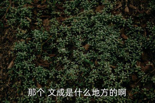 那個(gè) 文成是什么地方的啊