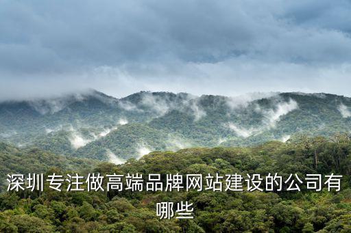 深圳專注做高端品牌網(wǎng)站建設(shè)的公司有哪些
