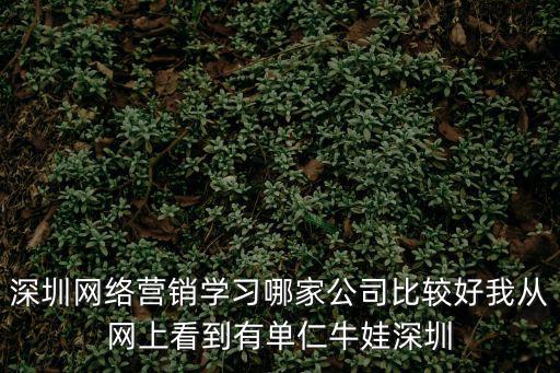 深圳網絡營銷，深圳的公司剛開業有沒有合適的網絡營銷機構介紹一下我們是旅游